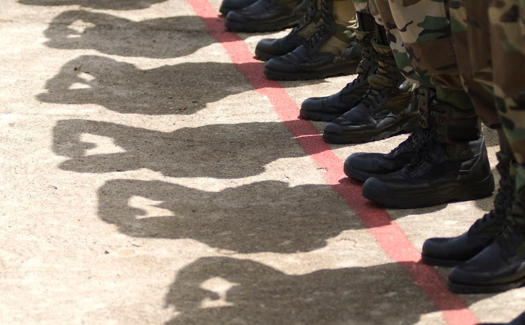 flags, public sector