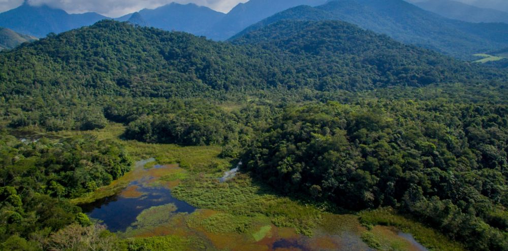 New Project Focuses on the Atlantic Forest of Southeastern Brazil