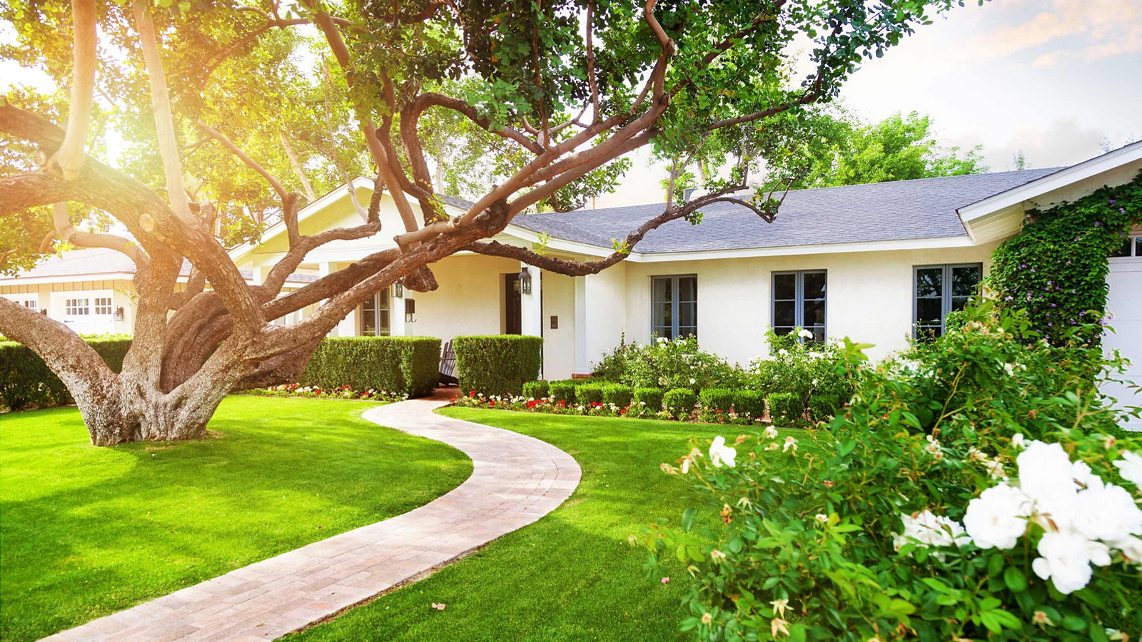 white house with tree - home buying