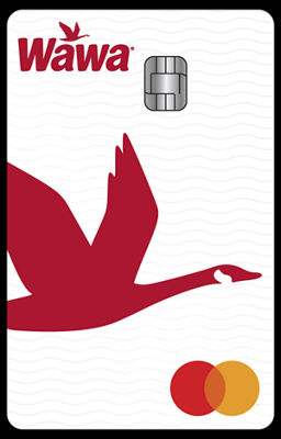 Wawa Mastercard Art