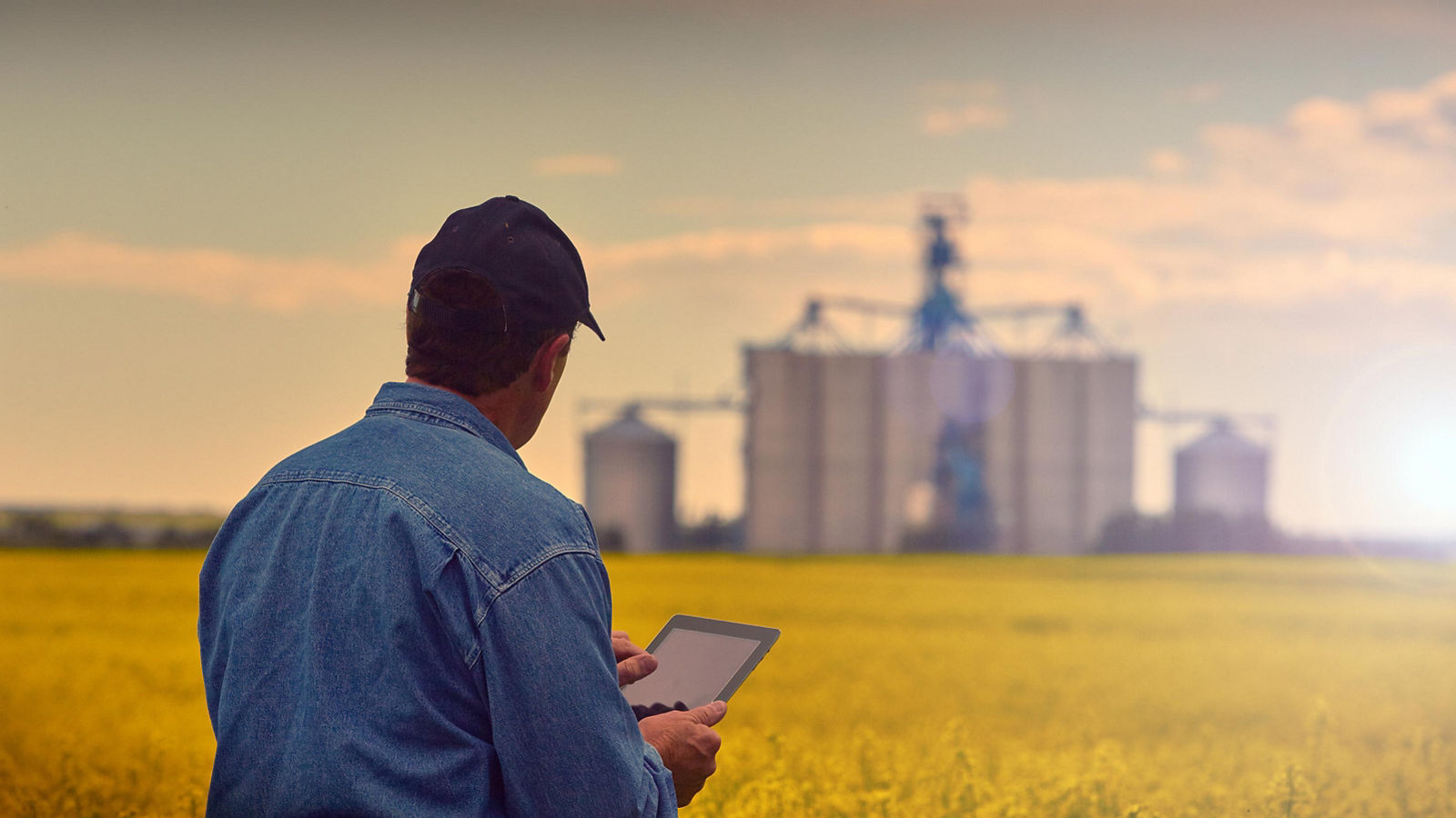 Farmer looking at a tablet while in his field