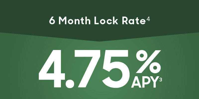 6 Month Lock Rate4 4.75% APY3