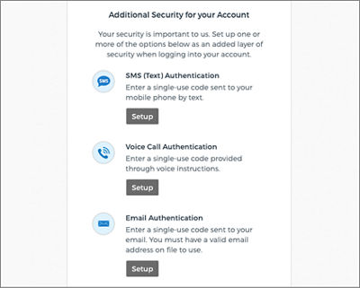 Screenshot of the login process