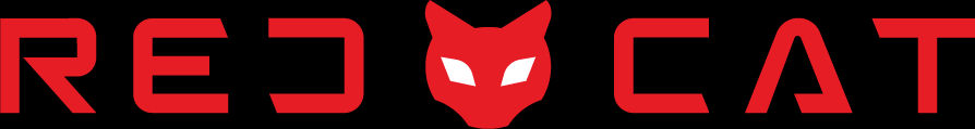 New Era Logo