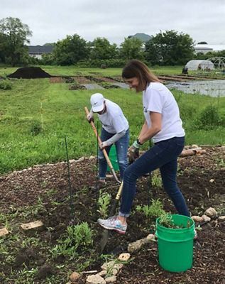 garden volunteer