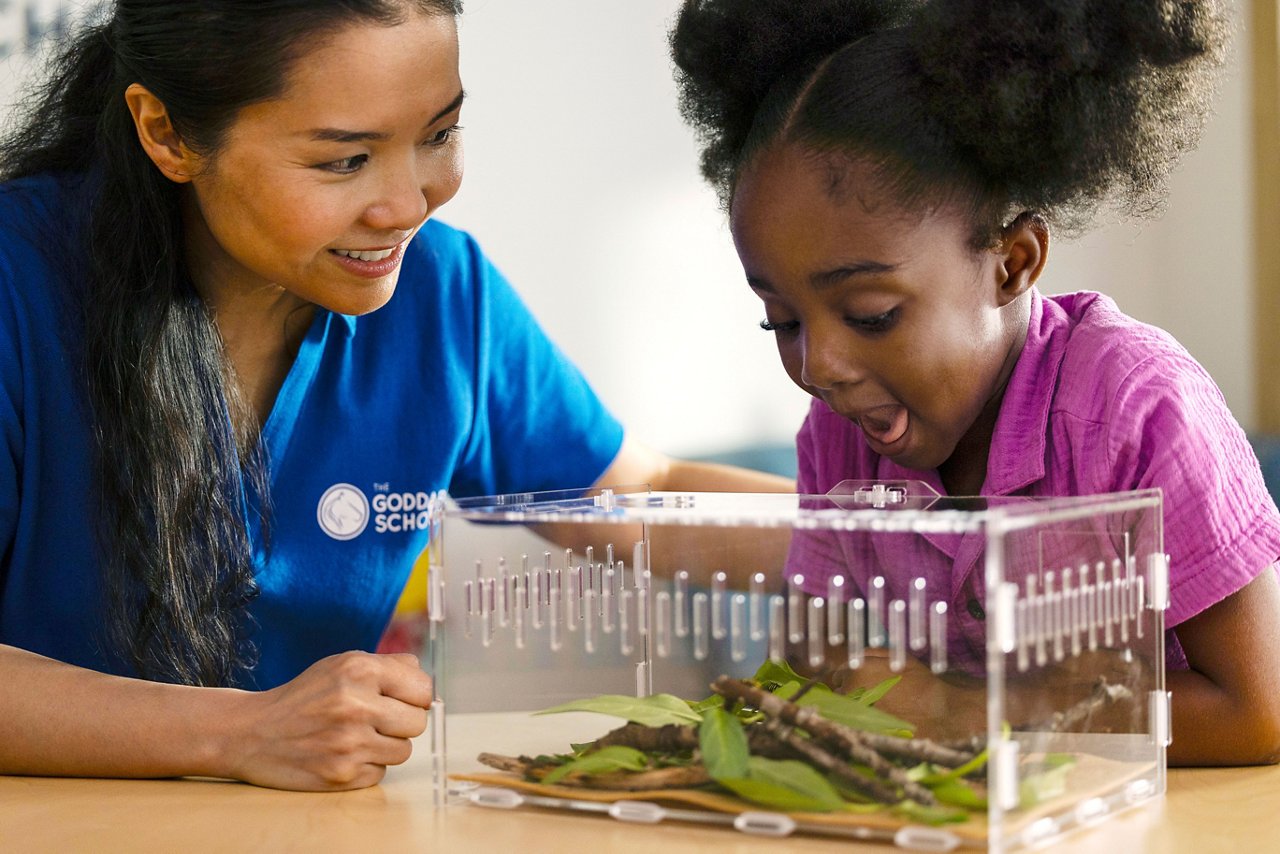A teacher with a preschool child looking at caterpillars in a clear box.