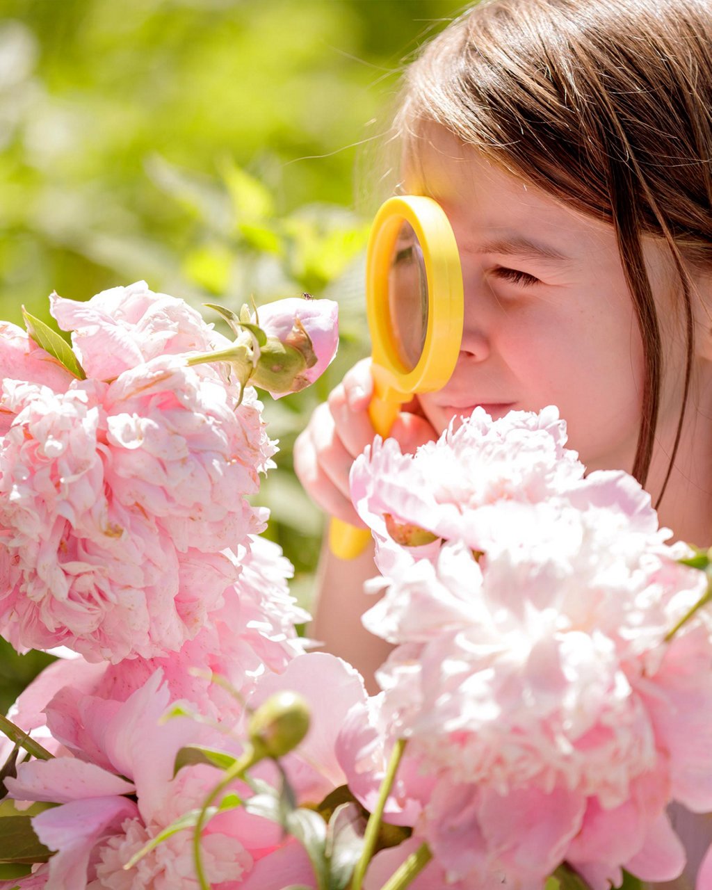 A child looking at flowers through a magnifying glass 