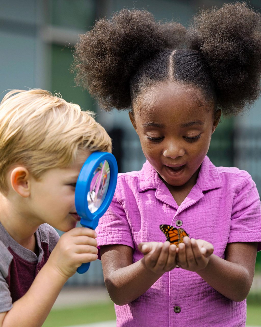 Children examining a butterfly through magnifying glass