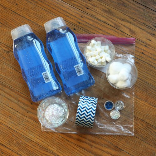 Winter Sensory Bag Activity - The Goddard School