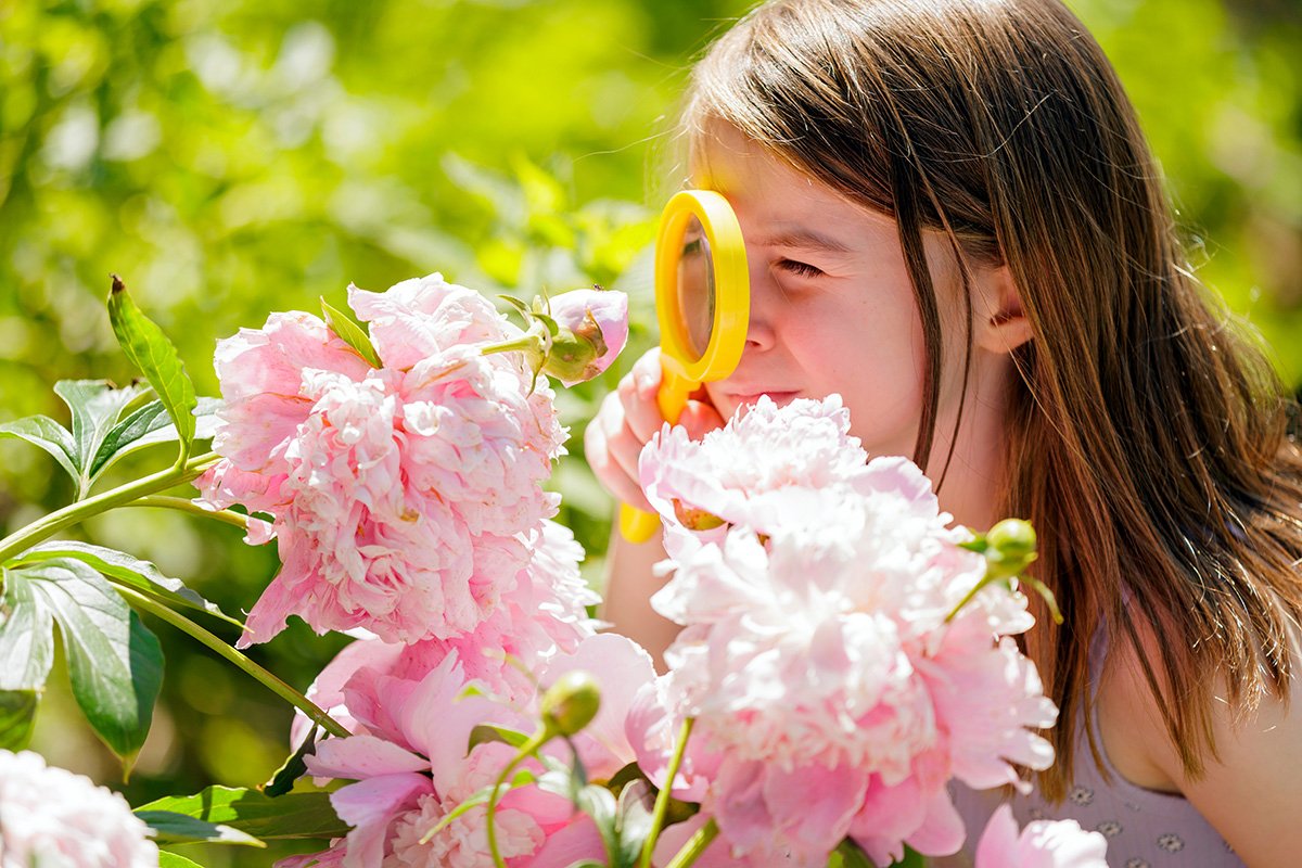 Child smelling bright pink flowers during a gardening activity at The Goddard School summer camp.