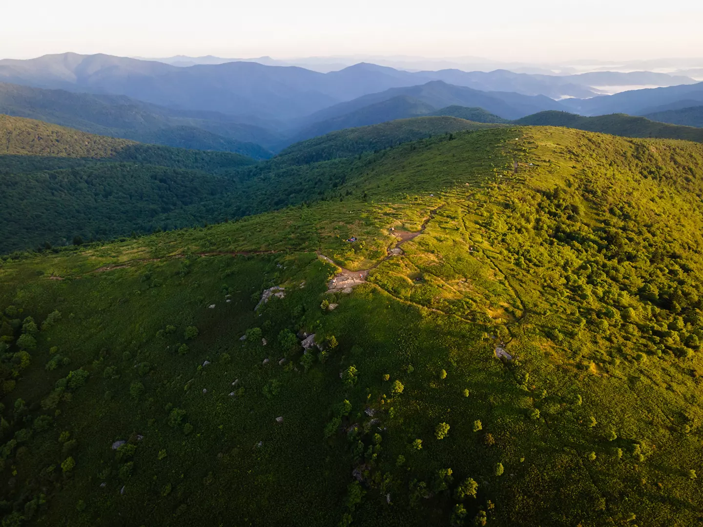 Aerial View of Black Balsam in the Pisgah National Forest in North Carolina at Sunrise, Aerial View of Black Balsam in the Pisgah National Forest in Nor
