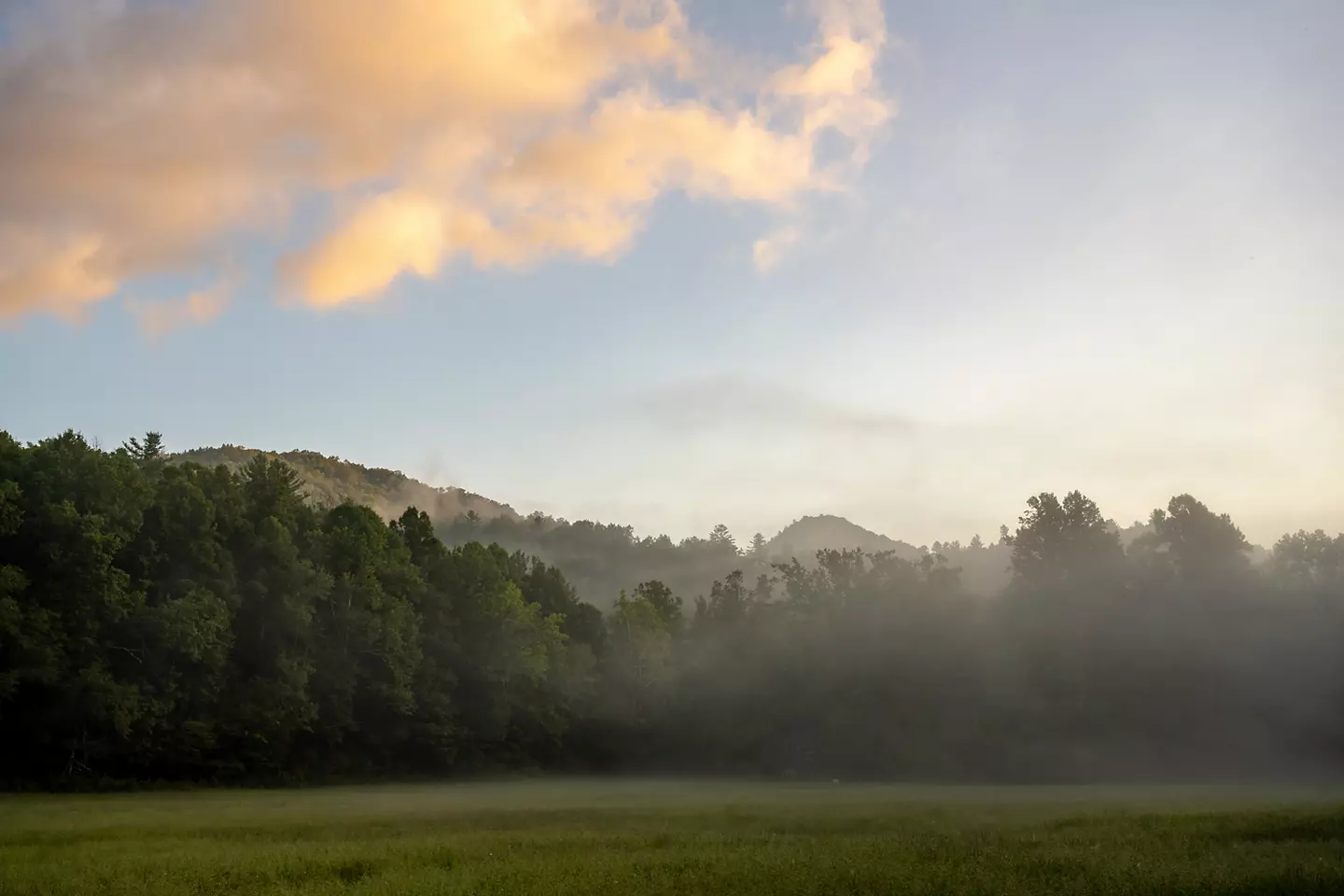 Foggy Meadow At Sunrise in Cataloochee Valley in Great Smoky Mountatins National Park