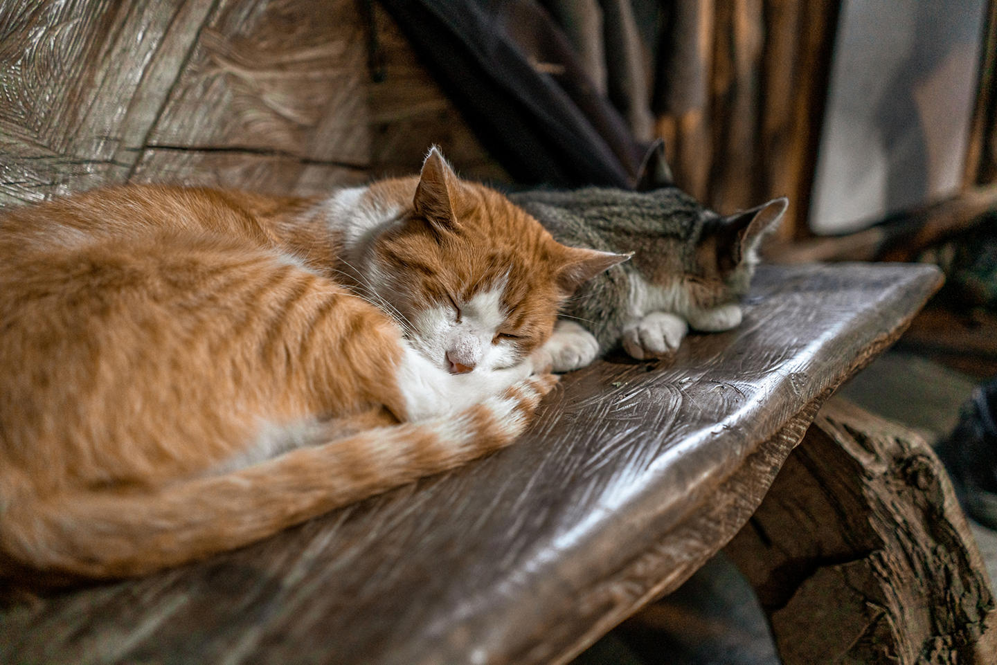 Two cats sleeping on bench.