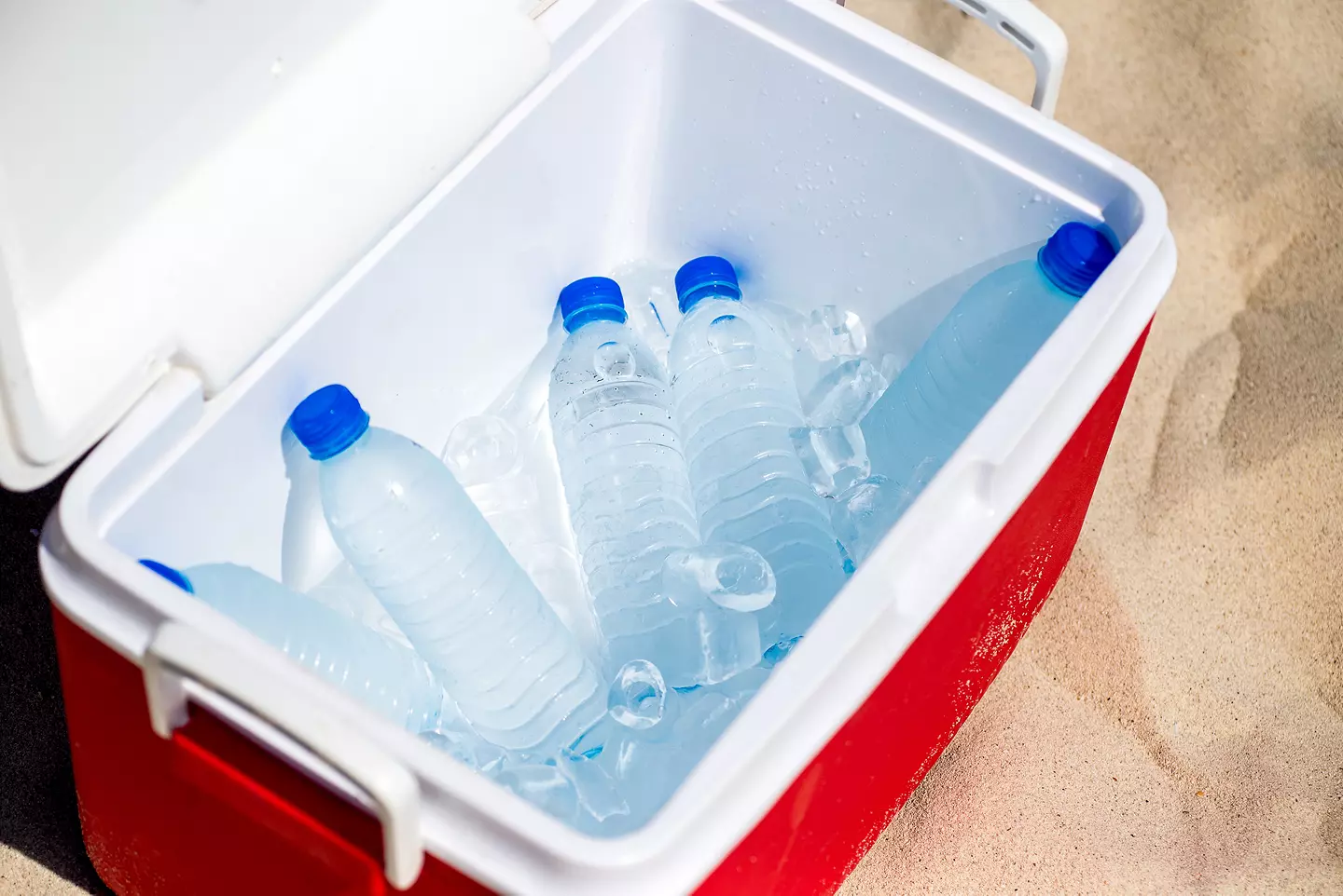 Cooler with water bottles.