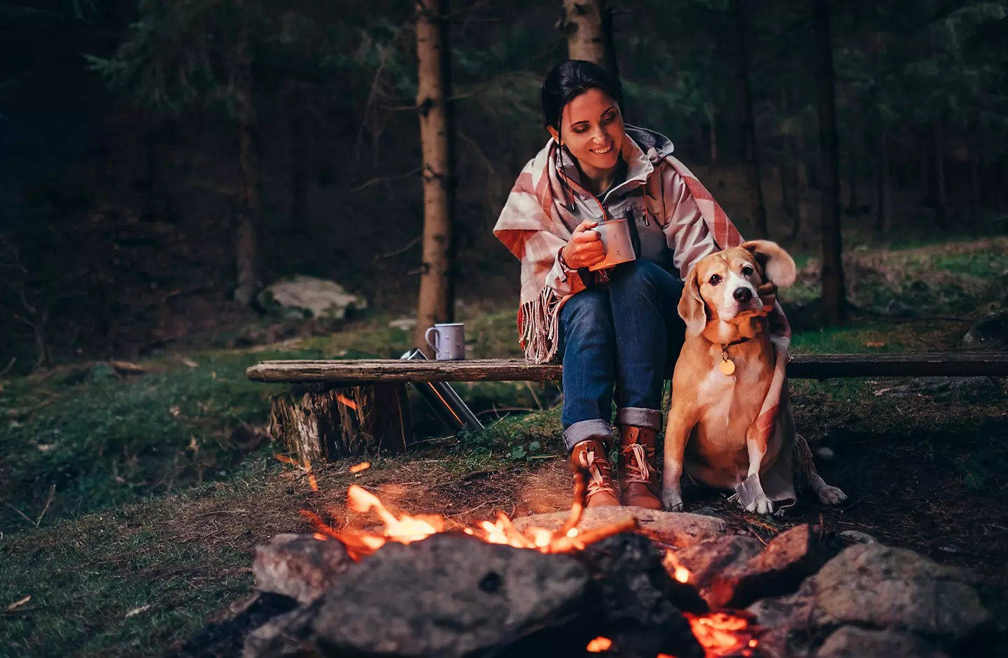 Dog sitting next to owner by campfire.