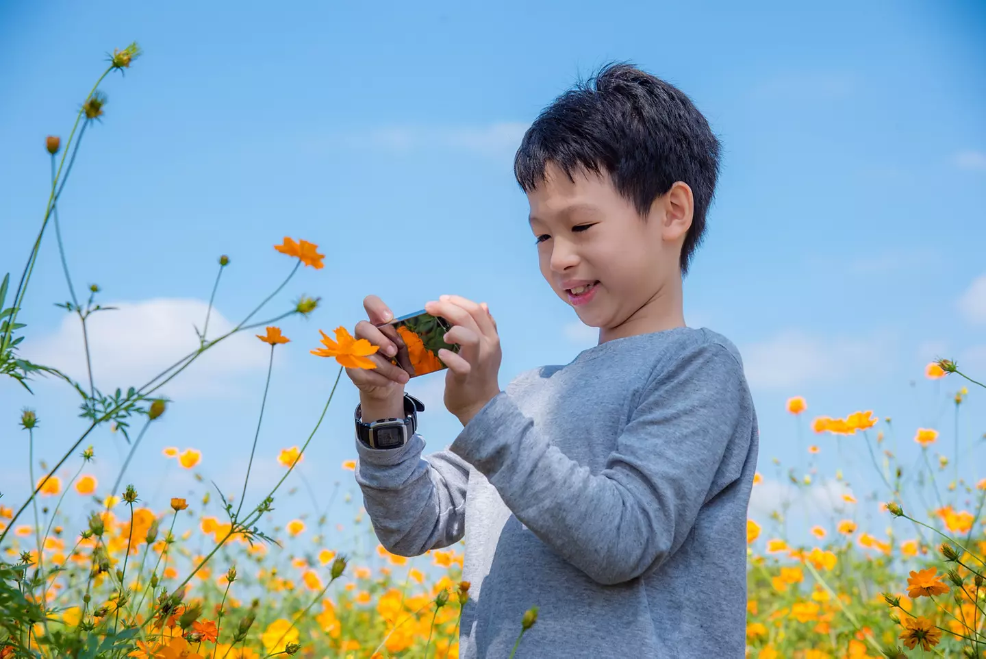 child taking photos of yellow flowers