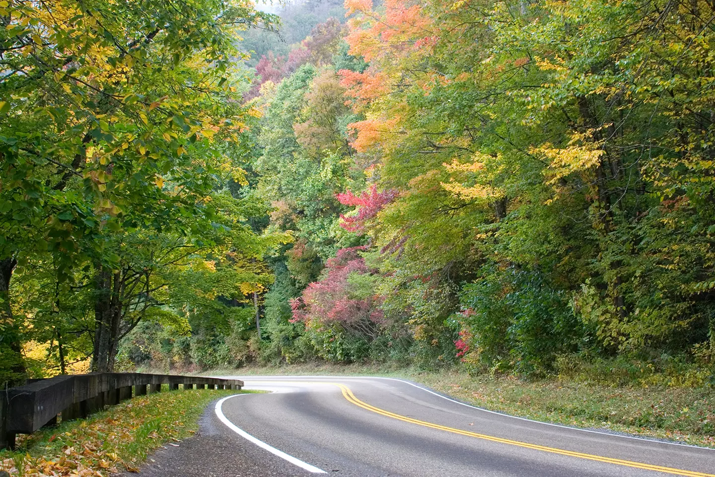 Fall Time View of Newfound Gap Road