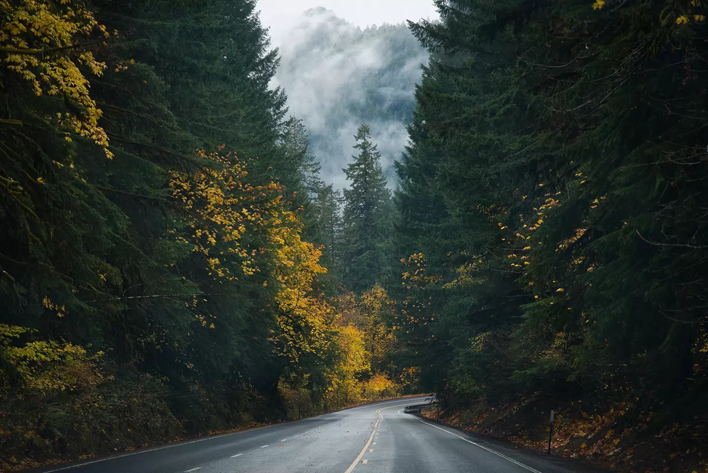Fall Time of Oregon Coast Highway