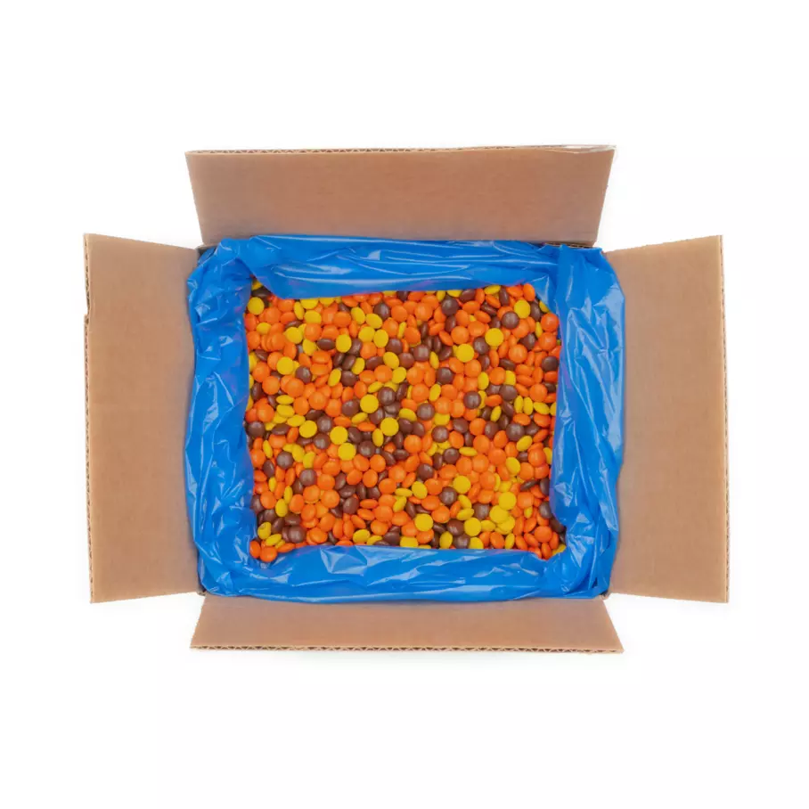 REESE'S PIECES Peanut Butter Candy, 48 oz Bulk Bag