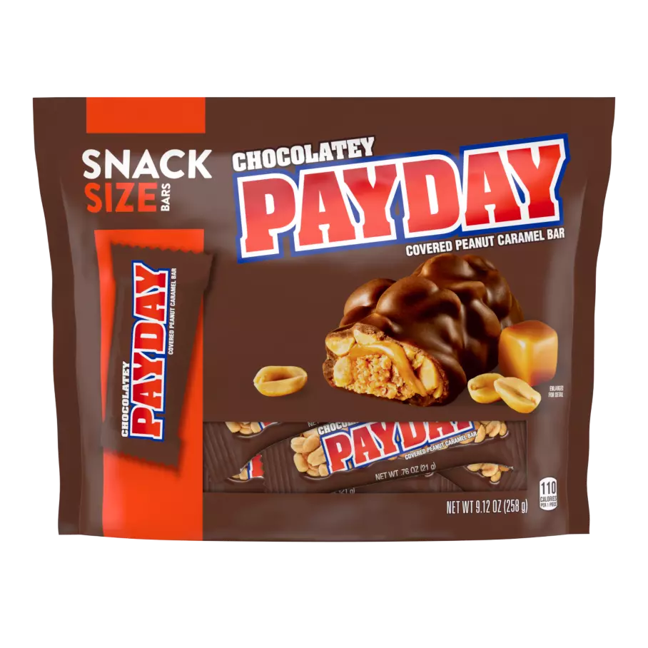 PAYDAY Chocolatey Covered Peanut and Caramel Snack Size Candy Bars, 9.12 oz bag - Front of Package