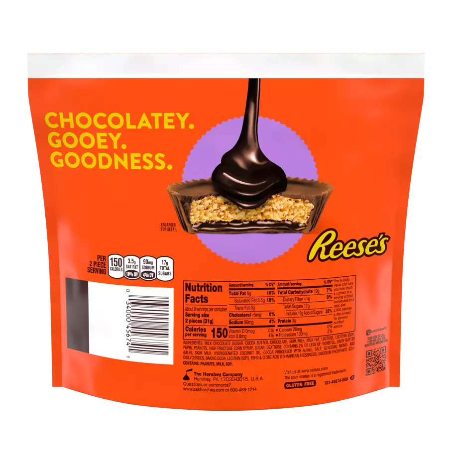 REESE'S Chocolate Lava Snack Size Peanut Butter Cups, 9.35 oz bag - Back of Package