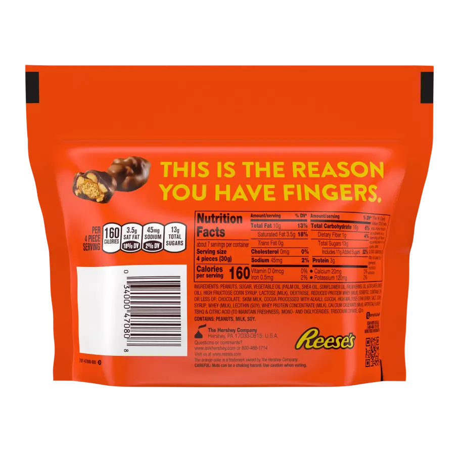 REESE'S Cluster Bites Peanut Butter, Caramel and Peanuts Candy, 7 oz bag - Back of Package