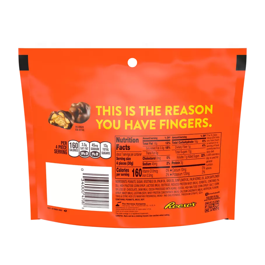 REESE'S Cluster Bites Peanut Butter, Caramel and Peanuts Candy, 7 oz bag - Back of Package
