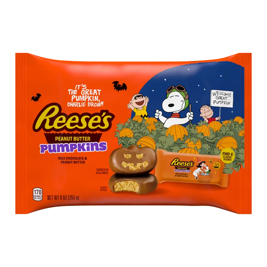 REESE'S Snoopy™ & Friends Wrappers Milk Chocolate Peanut Butter Snack Size Pumpkins, 9 oz bag - Front of Package