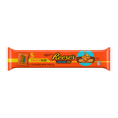 REESE'S Milk Chocolate Snack Size Peanut Butter Cups Candy