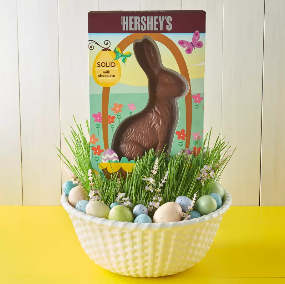 HERSHEY'S Solid Milk Chocolate Bunny, 14 oz box