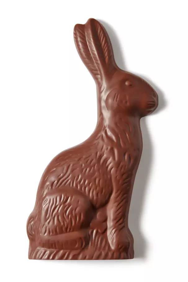 HERSHEY'S Solid Milk Chocolate Bunny, 14 oz box - Out of Package