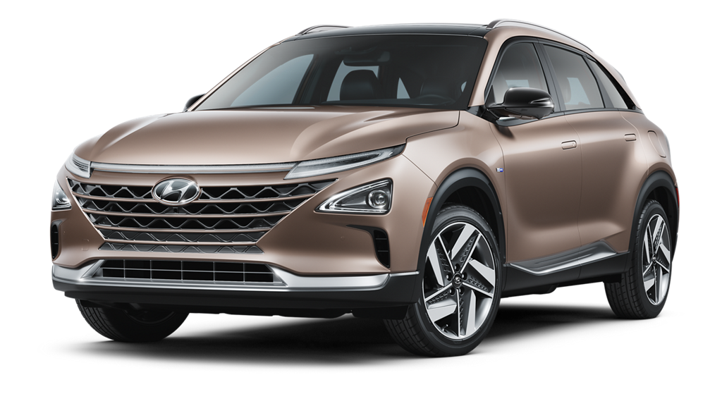 2021 NEXO Fuel Cell Limited