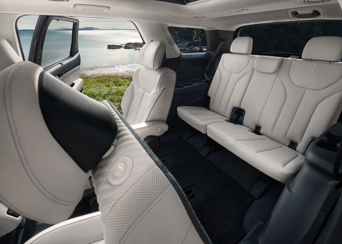 Palisade Interior View 2