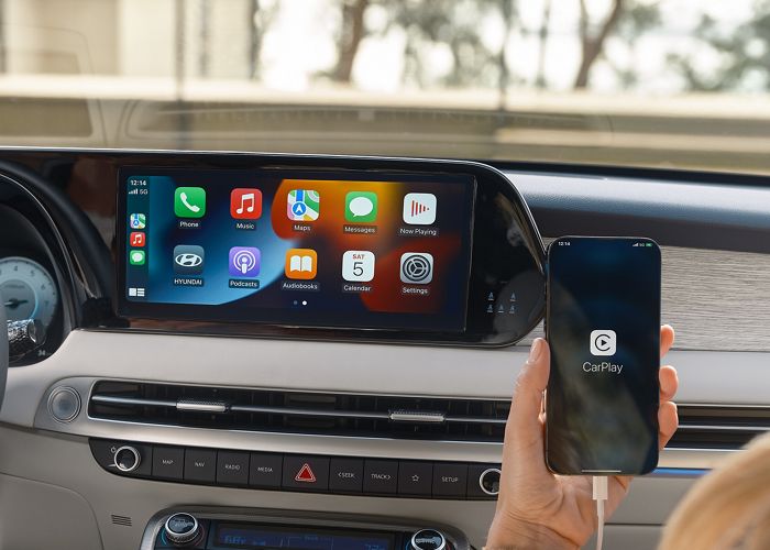 Palisade Interior View 3