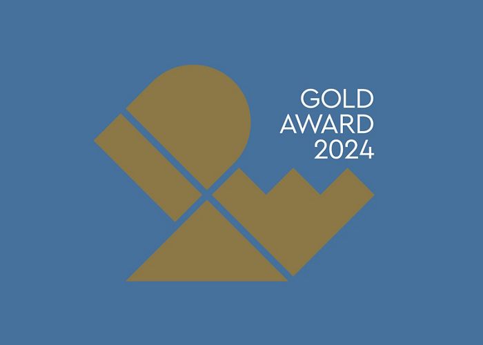 IONIQ 5 N named 2024 IDEA Award Winner