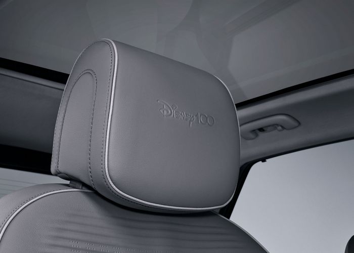 2024 IONIQ 5 D100 headrest logo