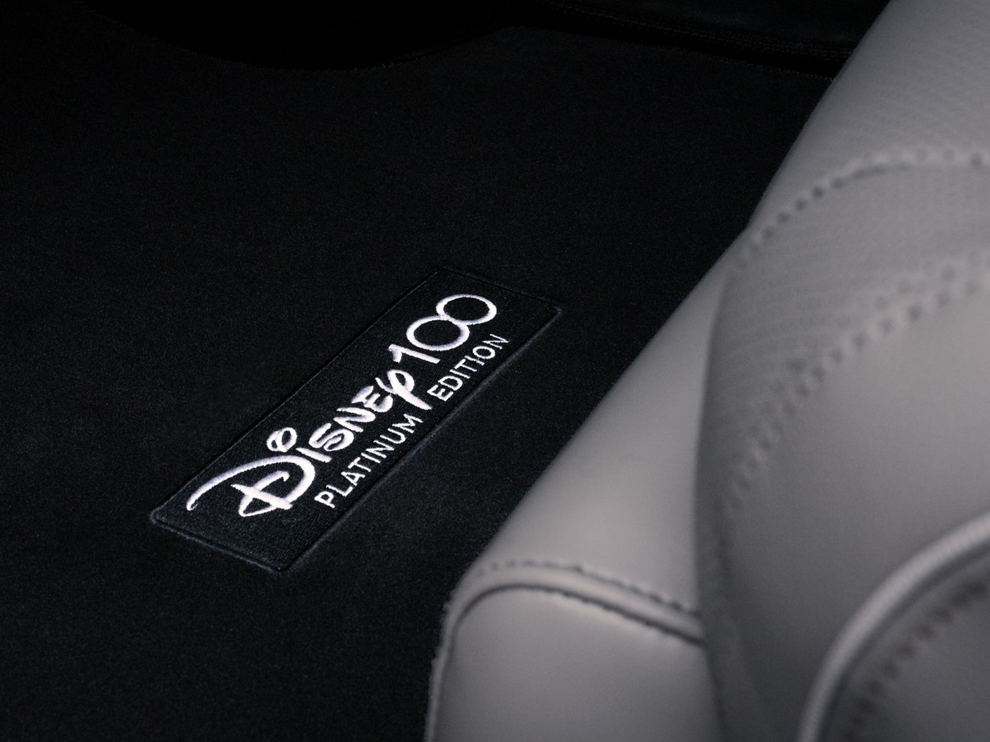 2024 IONIQ 5 D100 branded floor mats