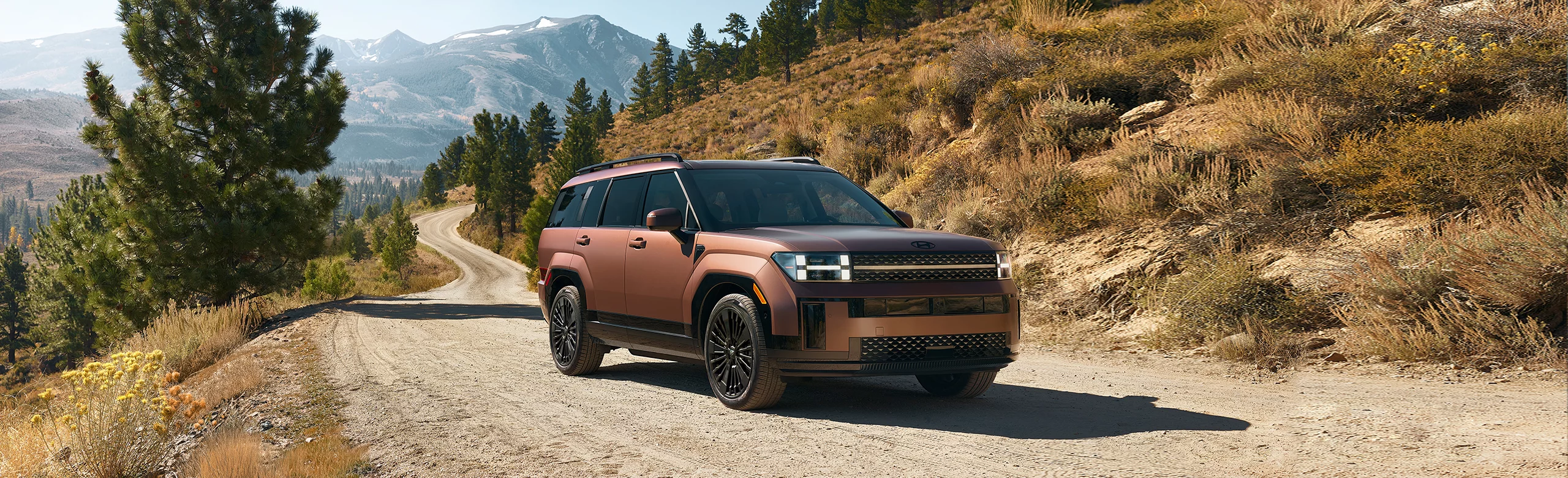 2025 Santa Fe Hybrid
