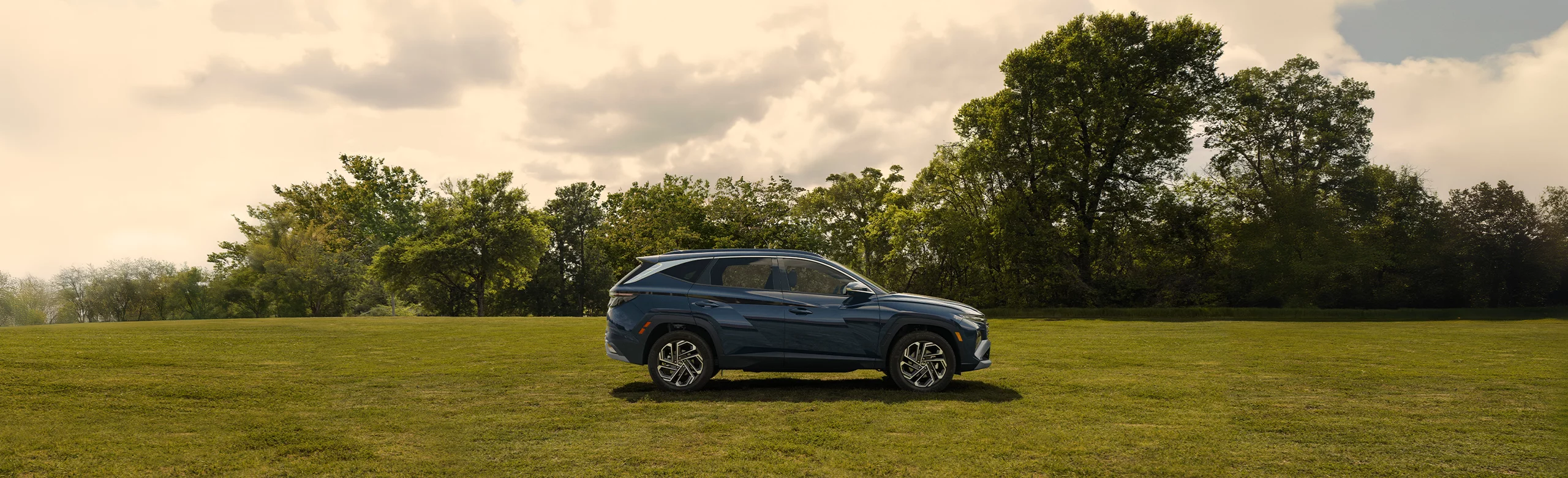 2025 TUCSON Hybrid