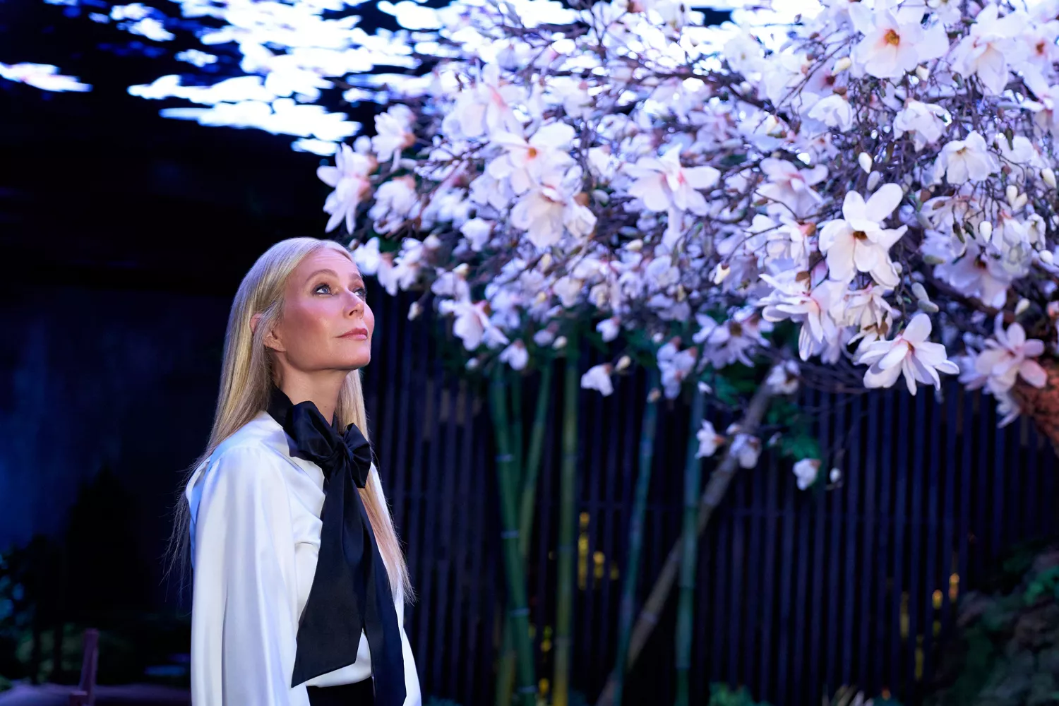 Genesis & Gwyneth Paltrow present ‘The Forest Within' an immersive retreat at Genesis House New York