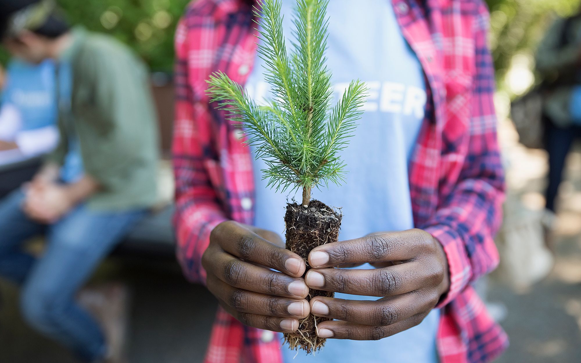 Close-up of a woman holding a tree sapling with her hands at a Hyundai tree-planting event
