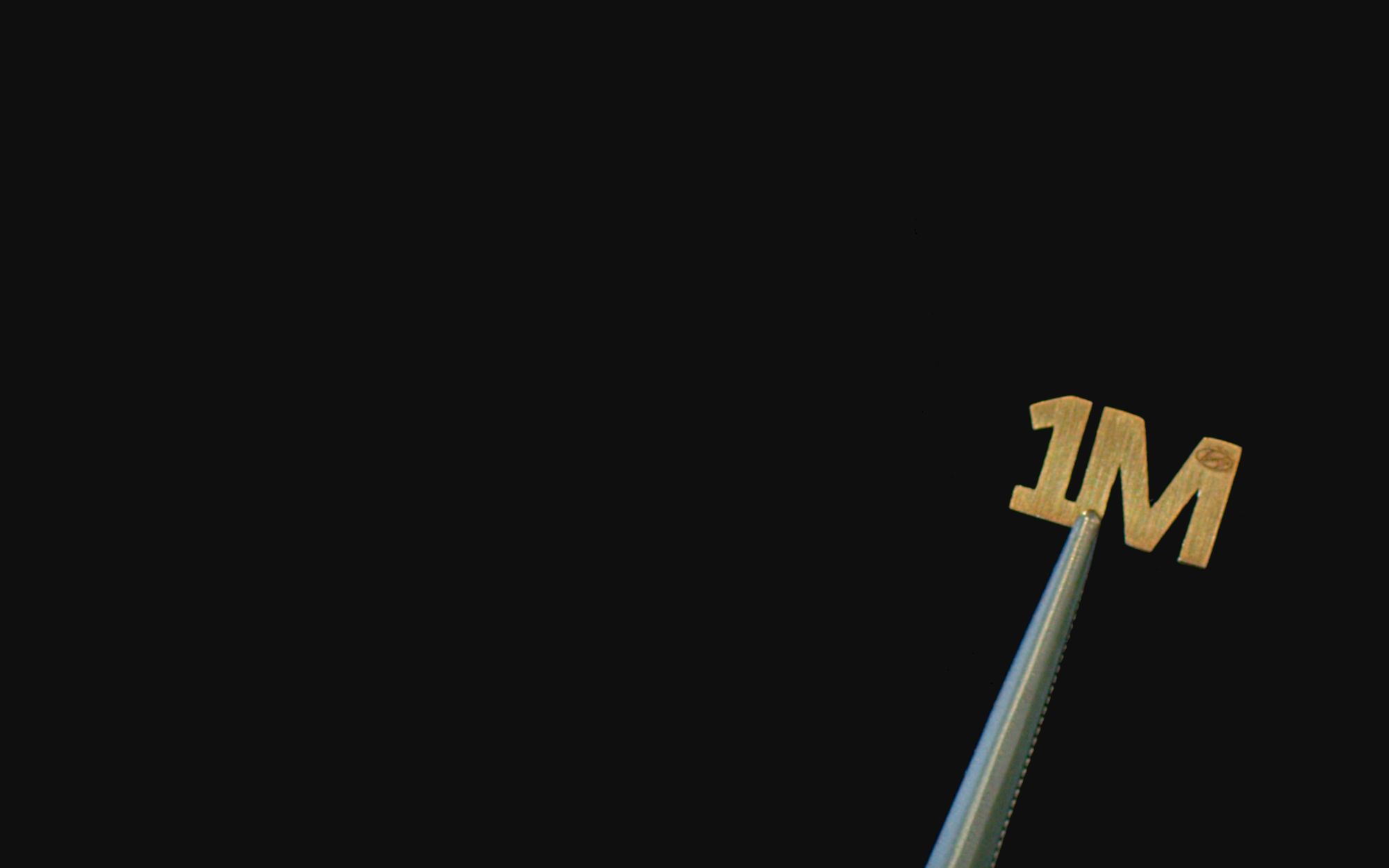 주행 기록계에 부착하는 밀리언 마일 클럽 골드 엠블럼과 골드 번호판 프레임을 받는 엘란트라 오너, 파라 헤인즈