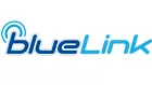 Thumbnail image of Blue Link Service Subscriber Privacy Policy