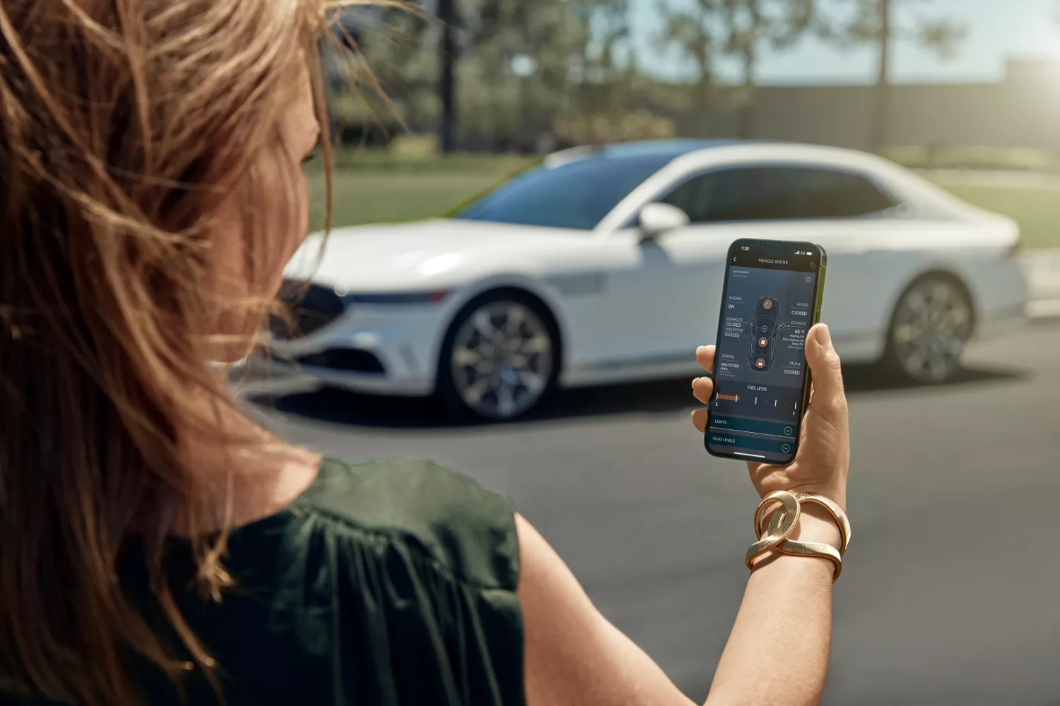 Genesis Vehicle Health Monitoring