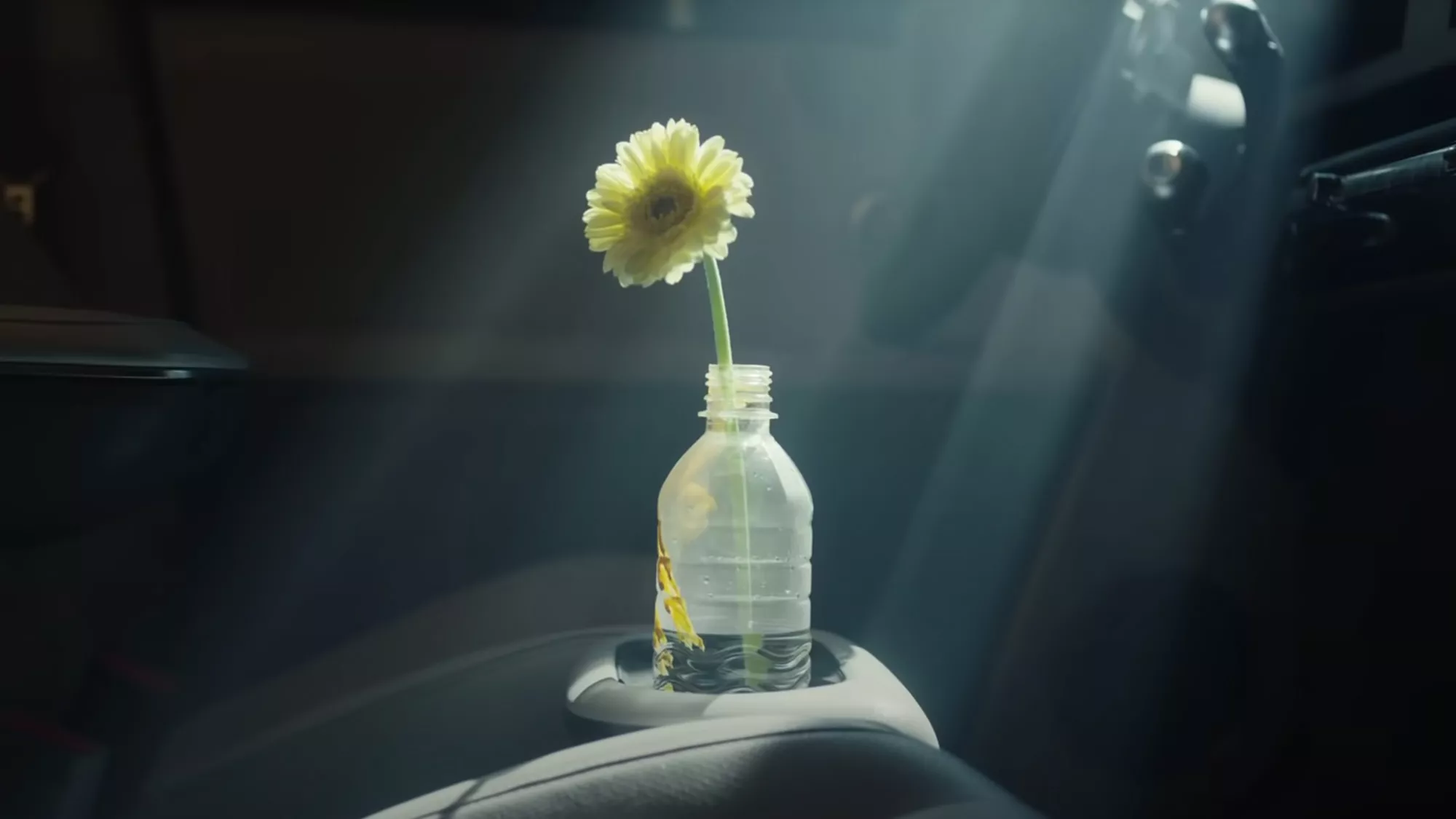 Hyundai, Journey of a pet video