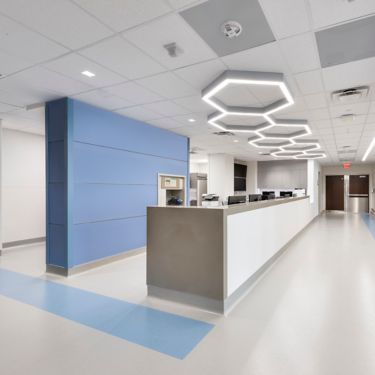 Satura Field Color Ara_Aquarius_Earth_Hydra