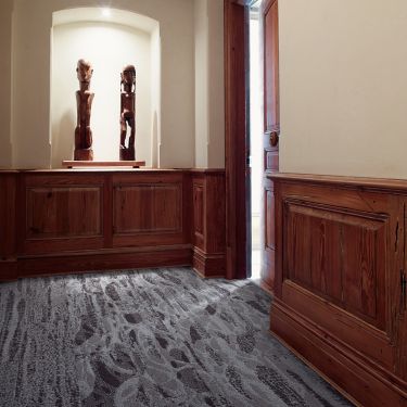 Interface PM67 plank carpet tile and PM68 carpet tile in hallway with wooden and white walls image number 1