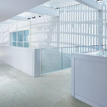 Interface Play The Angle plank carpet tile in corridor num&eacute;ro d&rsquo;image 2