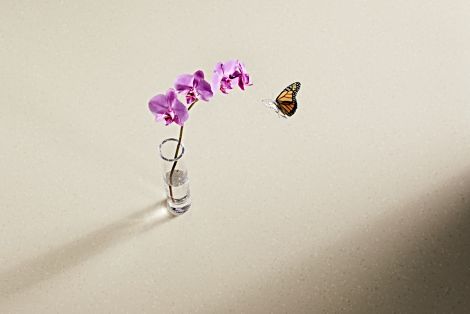 noracare seneo rubber flooring with orchid and butterfly afbeeldingnummer 3