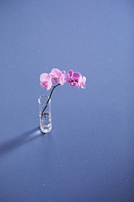 image noracare uneo rubber flooring with orchid in vase numéro 3